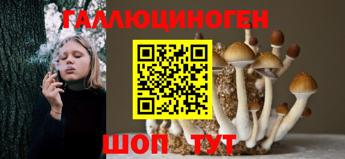 Галлюциногенные грибы Magic Shrooms  дарнет шоп  Вязники  Вход с VPN 