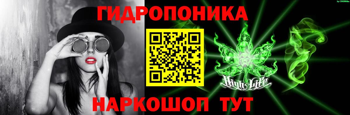 Бошки Шишки OG Kush  Каннабис гибрид  Вход с VPN  Вязники 